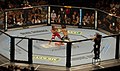 Image 55UFC 74 ; Clay Guida vs. Marcus Aurelio (from Mixed martial arts)