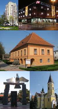 From top left: Vodotoranj (Water Tower Building), Mercator department store in city centre, Turopolje Museum, Monument to fallen soldiers in the Croatian War of Independence, Parish Church of the Annunciation of the Blessed Virgin Mary