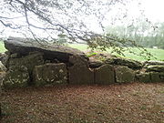 Labbacallee wedge tomb or "The Hag's Bed", near Glanworth, County Cork