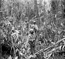 African American infantrymen patrol through the jungle