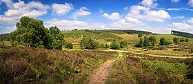 Cannock Chase, the landscape which gives its name to the district.