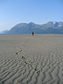 Sand dunes on the Copper River