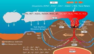 Oceanic ridge and deep sea vent chemistry