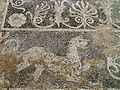 Detail of mosaic. Ancient Pella