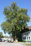 Gasthaus-Linde in Geretsberg