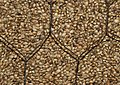 Image 28Whole hemp seeds (from Hemp)