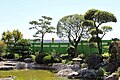 Jardin Japonais in Monaco