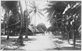 Image 7Main Street in Funafuti, (circa 1905). (from History of Tuvalu)