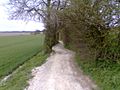 Typical chalk downland trail near Hollingbourne