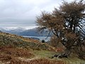 View of Windermere from Latterbarrow