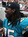 Reggie Nelson, Jacksonville Jaguars safety