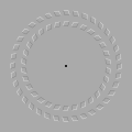 Pinna-Brelstaff illusion: the two circles seem to move when the viewer's head is moving forwards and backwards while looking at the black dot.[47]