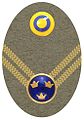 Hat badge (Mössmärke m/1946) for a lieutenant in the army