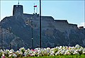 Al Jalali Fort, Muscat, Oman