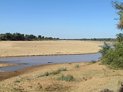 The river as seen from Crook's Corner in Kruger National Park, South Africa. Straight ahead of the river is Mozambique. Across the river is Zimbabwe.