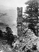 Fossil Tree, Specimen Ridge, 1890