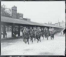 horses charge on street