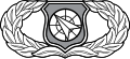 Weapons Director Badge