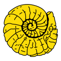 Weathered ammonite shell.svg