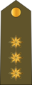 Baş leytenant (Azerbaijani Land Forces)[3]
