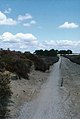 A recreational cycle path made of crushed seashells, Balloërveld.