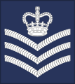 Royal Air Force[19]