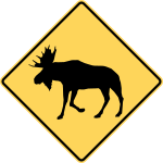 Moose area.