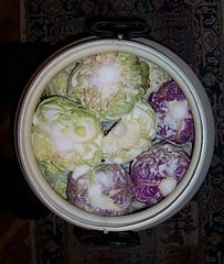 A barrel filled with cabbage heads