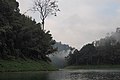 Primary tropical rainforest around Cheow Lan Lake
