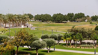 Panoramic view of trees in the MIA park
