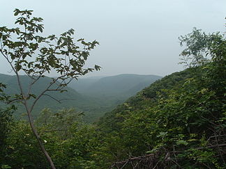 Bewaldete Berglandschaft (feuchter Monsunwald) in den mittleren Ostghats (Naturschutzgebiet Kambalakonda nahe Visakhapatnam, Andhra Pradesh)