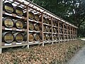 Barrels of Burgundy wine from France donated to Meiji-shrine