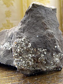 A specimen of Estonian graptolite argillite. The shiny portions are pyrite.