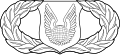 Operations Support Badge