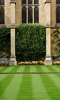 All Souls College