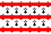 Flag of Rostrenen