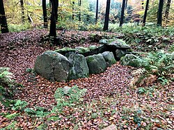 Großsteingrab Nenndorf