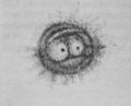Drawing of the Owl Nebula (M97) by Lord Rosse, who gave the name to the planetary nebula. Source: seds.org