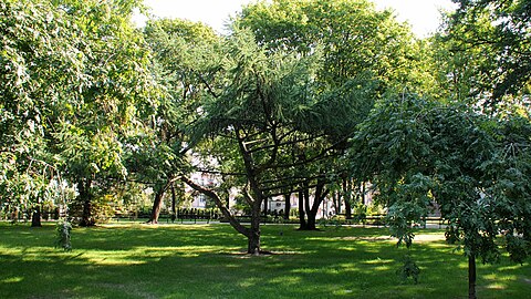 View of the park in Summer