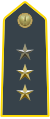 First Lieutenant - Acting Captain