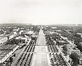 Image 21Rows of young American elm trees on the National Mall, looking east from the top of the Washington Monument circa 1942 (from National Mall)
