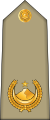 Commandant Arabic: رائد, romanized: Ra'id) (Algerian Land Forces)[8]