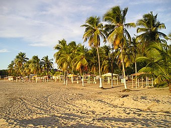 A beach in Arecibo