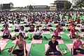 2nd International Yoga Day at Capitol Complex, 2016
