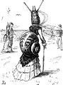 Satirical image comparing the look of a woman wearing a bustle to that of a snail wearing a dress