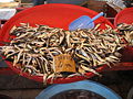 Anchovy at the market, Turkey