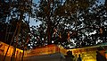 Jaya Sri Maha Bodhi is a sacred fig tree in the Mahamewna Gardens, Anuradhapura, Sri Lanka. It is said to be the southern branch from the historical Sri Maha Bodhi at Buddha Gaya in India under which Lord Buddha attained Enlightenment