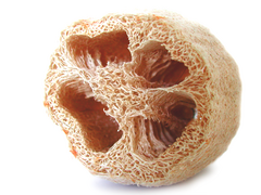 A luffa sponge, called hechima tawashi in Japanese
