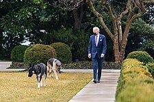 President Biden walking with Champ and Major through the White House Rose Garden in January 2021