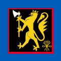 Standard of the Combat Service Support Battalion